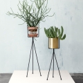  Stojak do roślin Plant Stand - Low - Black ferm Living 
