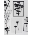 Rama FRAME MOEBE - 50 x 70 różne warianty