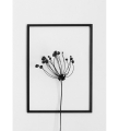 Ramka FRAME MOEBE - 40 x 50 różne warianty 