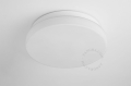 Lampa ścienna lub sufitowa Benedicte benedicte.w.019 Zangra  40 cm