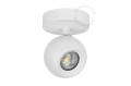 Natynkowy reflektor LED Colette - IP20 colette.b Zangra różne warianty 