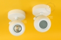 Natynkowy reflektor LED Colette - IP20 colette.b Zangra różne warianty 