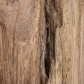 Stolik kawowy ERLOY VICAL różne warianty