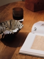 Misa Tydra Small Mirror Polished Ferm Living 