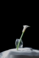 Wazon A STUDY 001 / Blæhr Vase Small New Works  różne warianty
