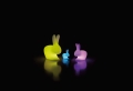 LAMPA AKUMULATOROWA RABBIT XS QeeBoo