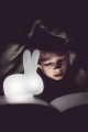 LAMPA AKUMULATOROWA RABBIT XS QeeBoo