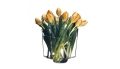 Alvar Aalto Wazon 120 mm iittala 12cm