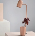 Lampa Stołowa Buddy różne kolory Northern