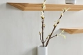 Półka Falka Shelf 22 x 120cm  BOLIA różne warianty