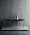 FRITZ HANSEN stolik TABLE TRAY różne warianty