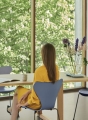 FRITZ HANSEN krzesło SERIES 7 fornir barwiony różne warianty blady róż