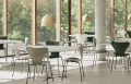 FRITZ HANSEN krzesło SERIES 7 fornir barwiony różne warianty rajski pomarańcz