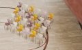 FRITZ HANSEN krzesło SERIES 7 fornir lakierowany różne warianty dzika róża