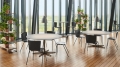 FRITZ HANSEN krzesło z podłokietnikami VICO DUO różne kolory podstawa chrom