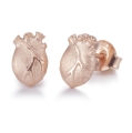 Kolczyki Anatomic Heart Miniature Bjorg 