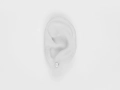 Kolczyki Anatomic Heart Miniature Bjorg 