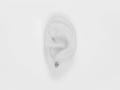 Kolczyki Anatomic Heart Miniature Bjorg 
