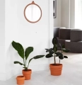 Lustro Ścienne Tivoli Ticket Brązowe Normann Copenhagen