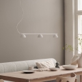 Lampa Wisząca Blush Rail x3 różne kolory Northern 