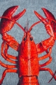 Nowoczesny Niebiesko Czerwony Dywan - POP LOBSTER STEAM RED 9389 Louis de Poortere  różne warianty 