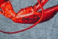 Nowoczesny Niebiesko Czerwony Dywan - POP LOBSTER STEAM RED 9389 Louis de Poortere  różne warianty 
