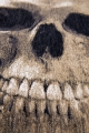 Czarny Dywan Nowoczesny - MEMENTO MORI FUNNY BONES 9391 Louis de Poortere  różne warianty  