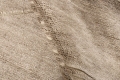 Dywan Nowoczesny Brązowy - LANDSCAPE FIELDS BEIGE Louis de Poortere  różne warianty