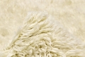 Dywan Wełniany Z Długim Włosiem - SNOW WHITE PLAIN IVORY Louis de Poortere  różne warianty 