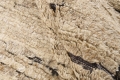 Dywan Nowoczesny Beżowy - LANDSCAPE STRAW CAMEL Louis de Poortere  różne warianty