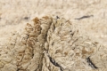 Dywan Nowoczesny Beżowy - LANDSCAPE STRAW CAMEL Louis de Poortere  różne warianty