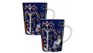 Taika kubki - 2 sztuki iittala